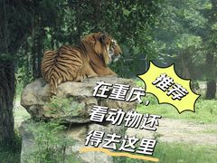 -乐和乐都主题乐园