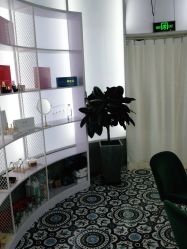 点击看大图 -PE SALON