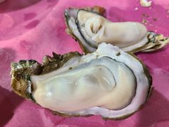 -蠔园山庄(礼乐食街店)