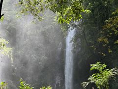 -莫里热带雨林景区