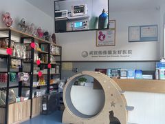 -伟伟宠物医院·瑞派猫友好医院·猫科(光谷店)