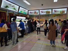 -北京大学-学五食堂