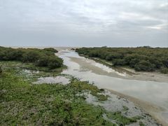 -北海金海湾红树林生态旅游区