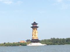 -溱湖国家湿地公园