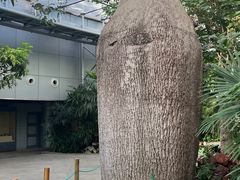 -北京植物园-展览温室