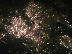 -爵士花园音乐酒吧餐厅