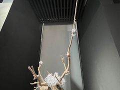 -成都许燎源现代设计艺术博物馆