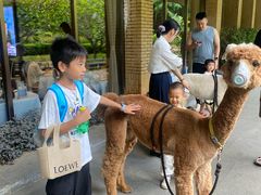-南宁荔园维景国际大酒店·荔园中餐厅