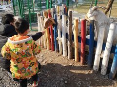 -西部长青自然儿童乐园