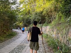 -紫金山山顶公园