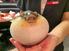 -永安鱼庄·镇江菜(东吴路店)