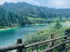 -武陵山森林公园