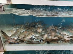 -盒马鲜生(枣园路店)