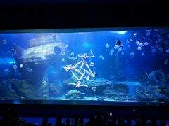 -多彩贵州城极地海洋世界