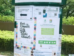 -香港大学