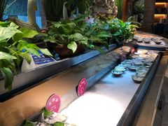 自助取餐区-阳光岛·海鲜盛宴(银泰中心in99店)