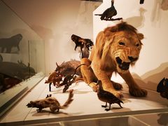 -墨尔本博物馆(Melbourne Museum)