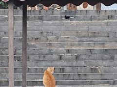 -雁门关景区