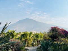 -桤木河湿地公园