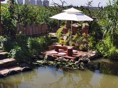 -樂桃源奉贤黄桃种植采摘基地