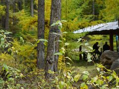 -苏木山森林公园