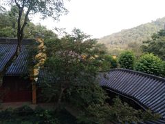 -灵隐飞来峰景区