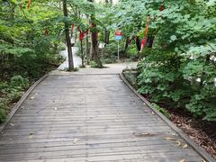 -丹东凤凰山景区