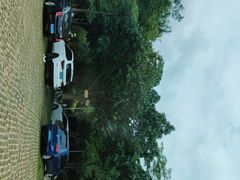 -东莞市大岭山森林公园