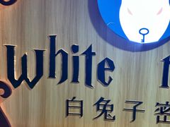-白兔子密室(长寿路店)