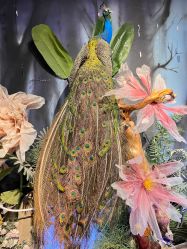 -酷嗒动物文化乐园(cutezoo西溪乐天城店)