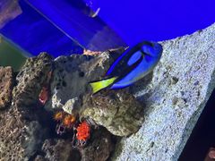 -洛阳龙门海洋馆