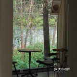 顺德周末 🪑喝个啡看个画展 太惬意了🖼️