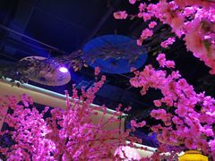 -今朝桃花醉川菜小酒馆(龙湖天街店)