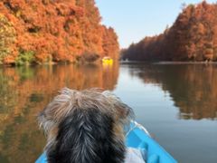 -上海海湾国家森林公园