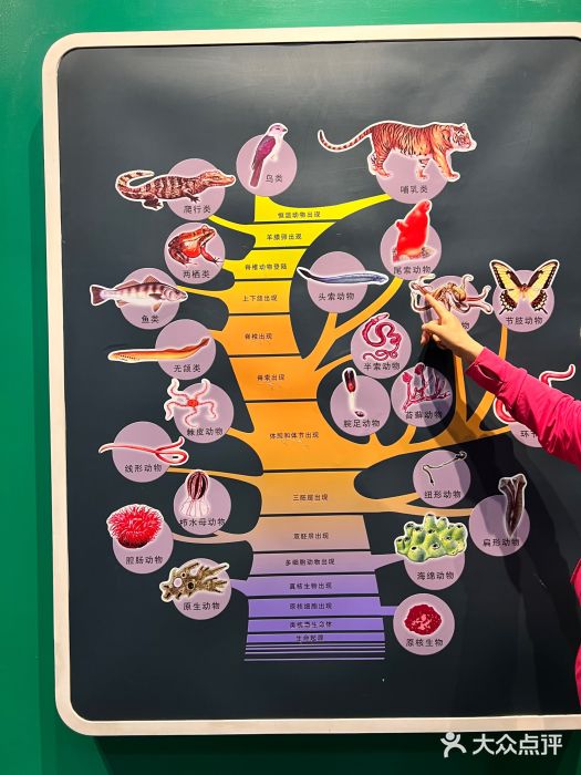 国家自然博物馆图片