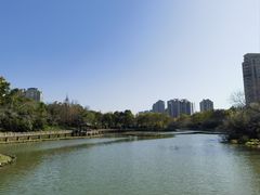 -金山公园