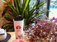 -霸王茶姬(南强街店)