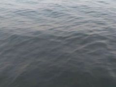 -西湖游船