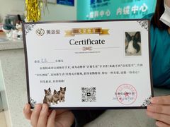 -美迦爱-牙专科·兔科·骨科诊疗中心(北苑店)