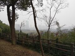 -苏州上方山国家森林公园