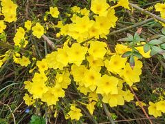 -亚龙湾中心广场