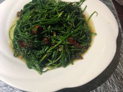 -三道苗苗鱼·美蛙黄辣丁(八里店)