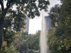 -九龙公园
