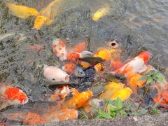 -珠海圆明新园