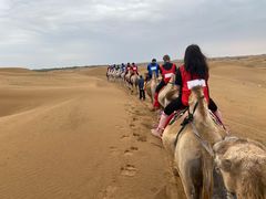-银肯塔拉沙漠生态旅游景区