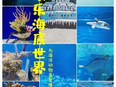 -重庆欢乐海底世界