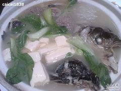 砂锅老汤鱼头-金悦印象小馆(三里河店)
