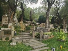 -中国唐苑