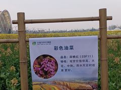 -中国天府农业博览园