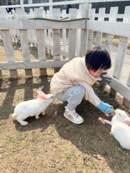 -前小桔亲子创意农场·草莓采摘·露营烧烤